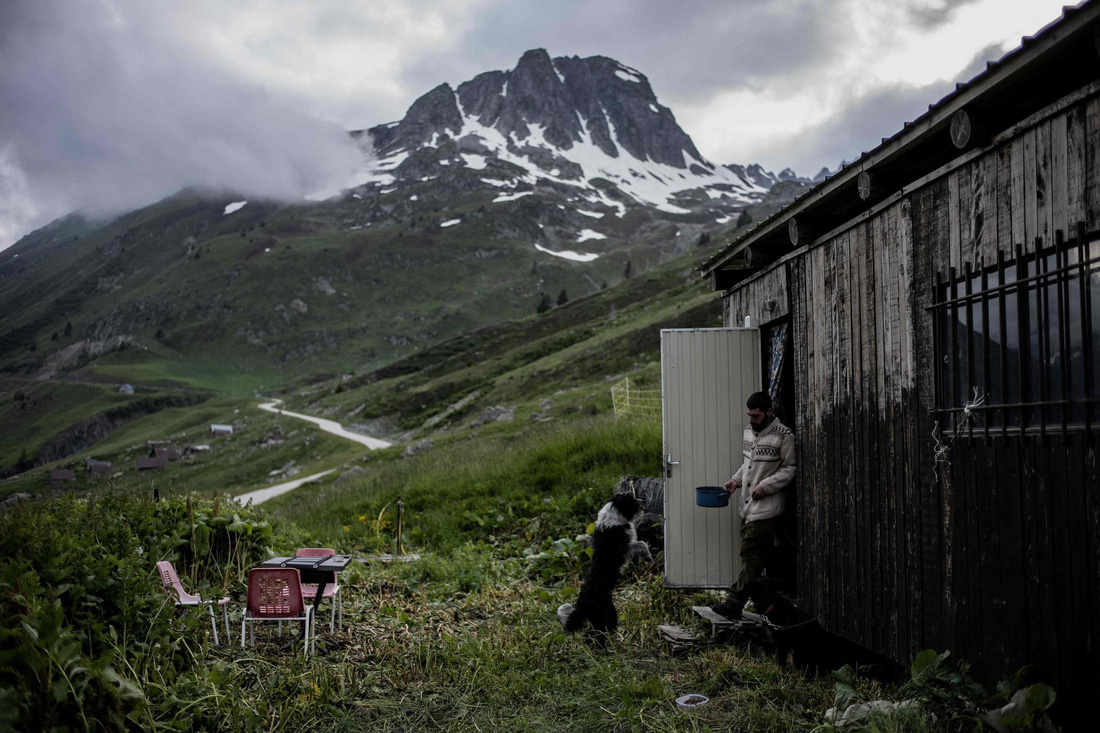 Theo chân người chăn cừu trên vùng đồng cỏ núi Alps - Ảnh 9.