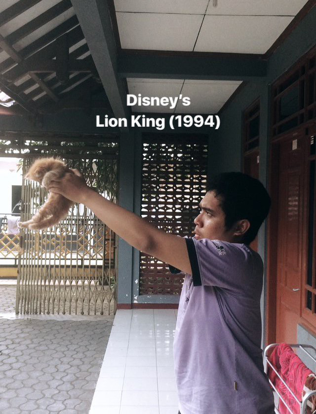 Quá mê The Lion King, khán giả chế ảnh Simba phiên bản chó mèo - Ảnh 14.