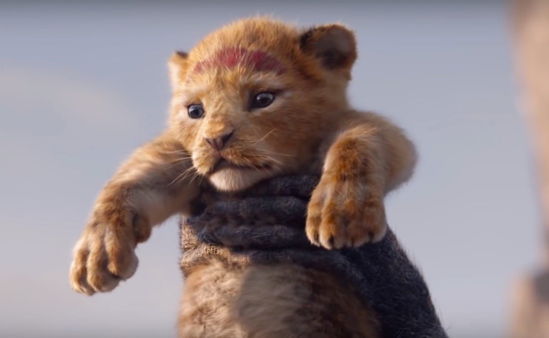 Quá mê The Lion King, khán giả chế ảnh Simba phiên bản chó mèo - Ảnh 5.