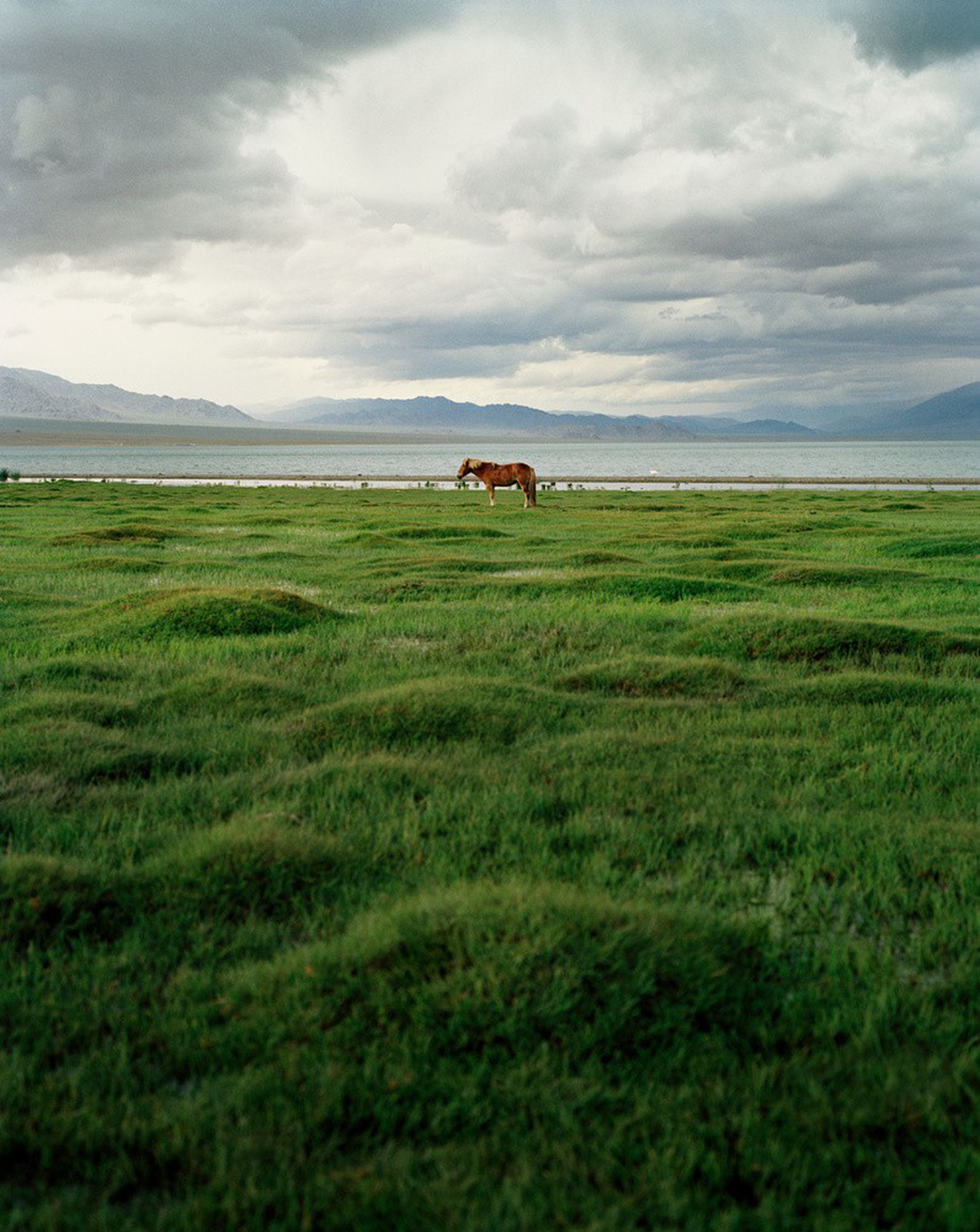 Vẻ đẹp tĩnh lặng đáng kinh ngạc trên thảo nguyên Mông Cổ - Ảnh 3.