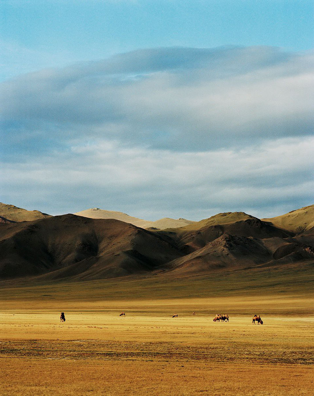 Vẻ đẹp tĩnh lặng đáng kinh ngạc trên thảo nguyên Mông Cổ - Ảnh 8.