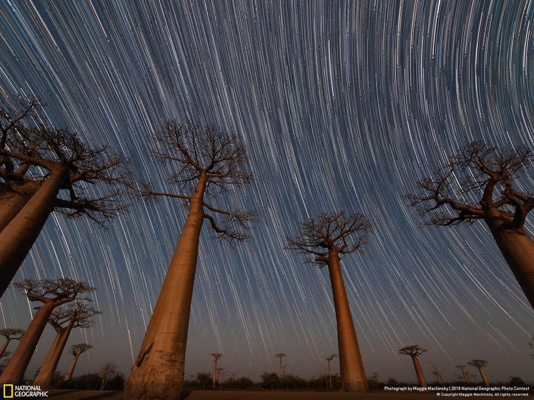 Ngắm ảnh ấn tượng cuộc thi National Geographic Photo Contest 2018 - Ảnh 16.