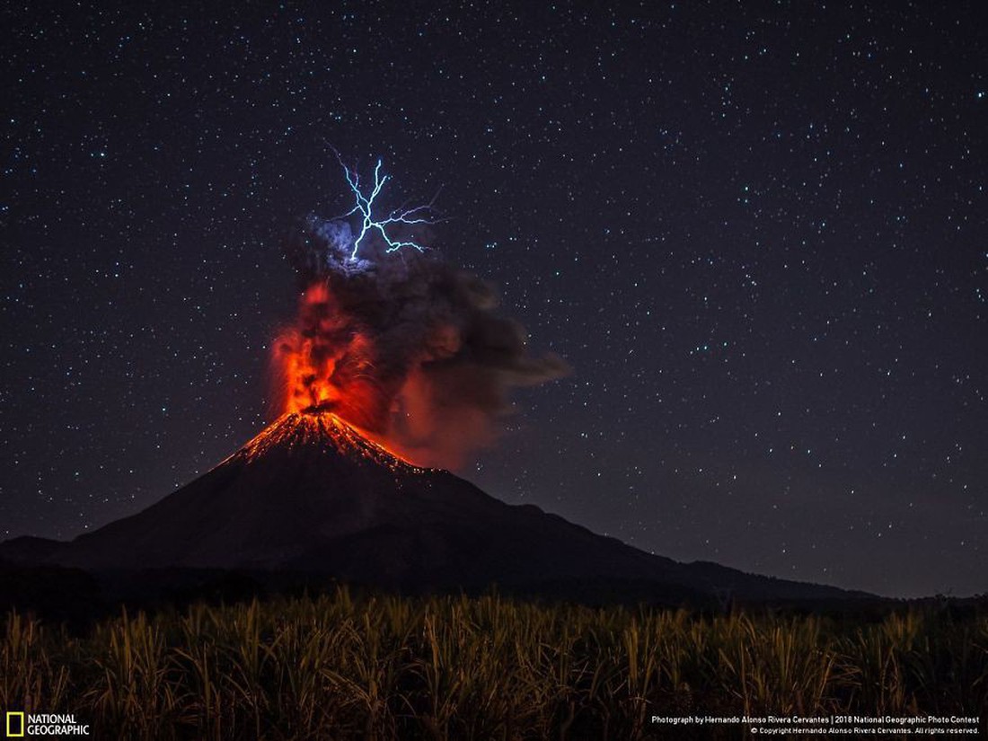 Ngắm ảnh ấn tượng cuộc thi National Geographic Photo Contest 2018 - Ảnh 4.