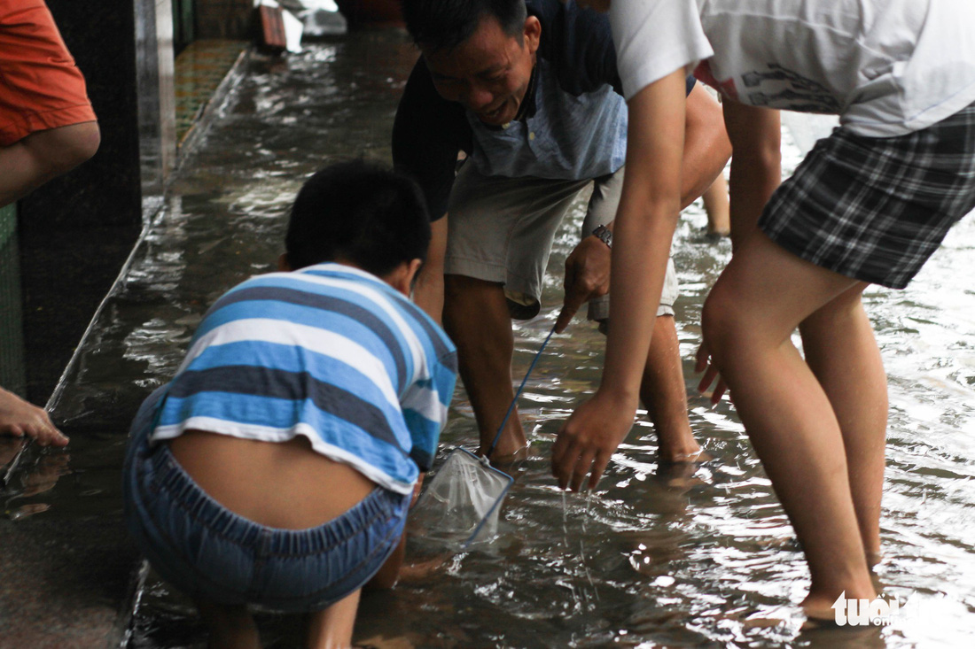 Sau mưa, dân Đà Nẵng nô nức ra đường bắt cá - Ảnh 3.