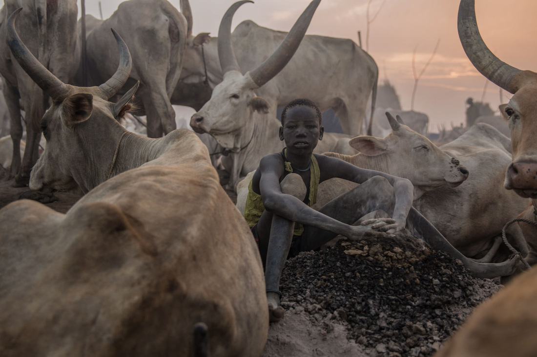 Trải nghiệm cuộc sống chăn bò của người Dinka ở Nam Sudan - Ảnh 13.