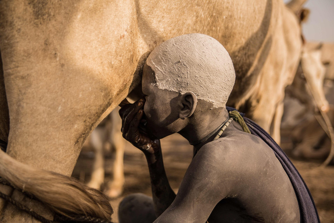 Trải nghiệm cuộc sống chăn bò của người Dinka ở Nam Sudan - Ảnh 2.