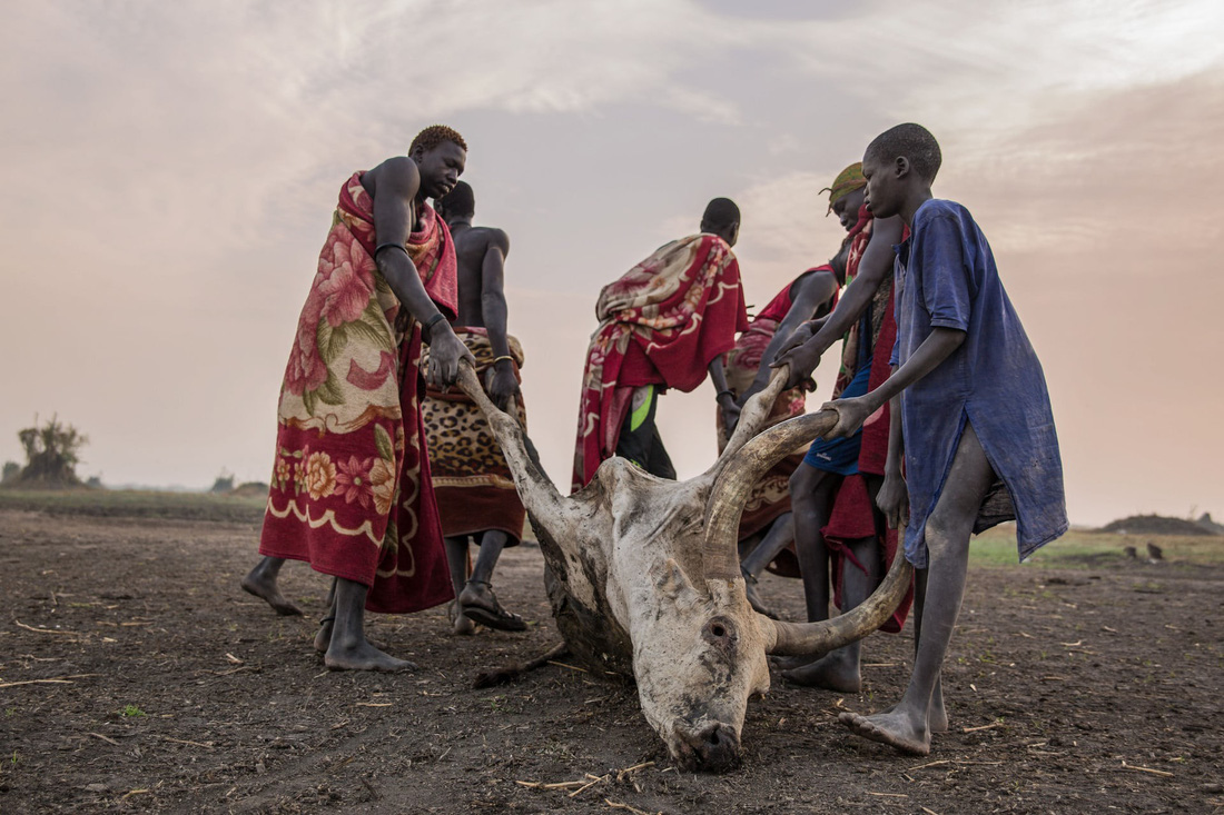 Trải nghiệm cuộc sống chăn bò của người Dinka ở Nam Sudan - Ảnh 4.