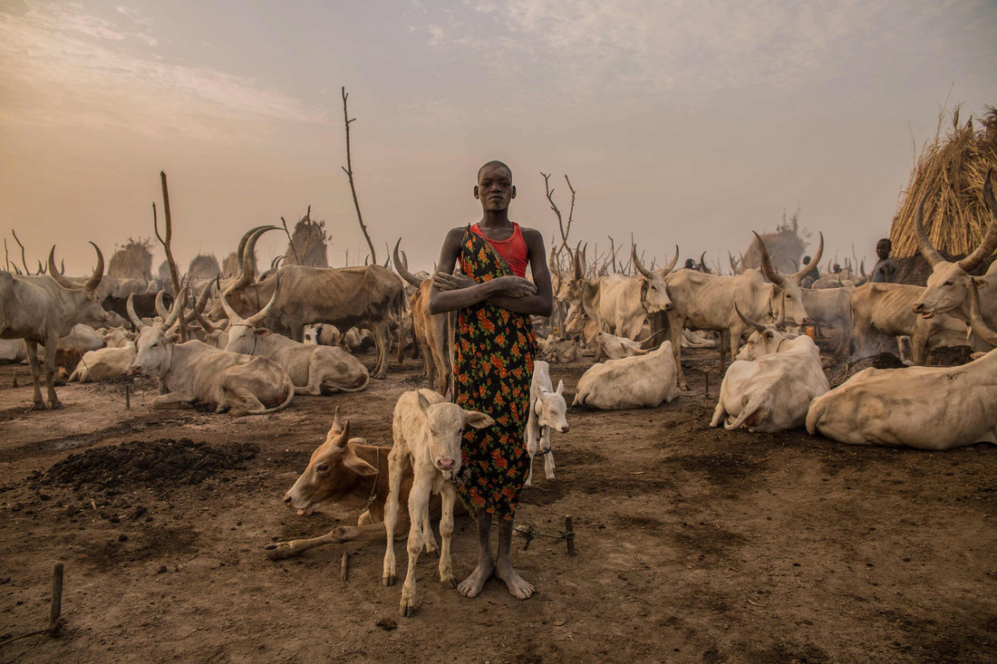 Trải nghiệm cuộc sống chăn bò của người Dinka ở Nam Sudan - Ảnh 6.