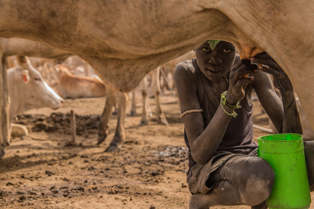 Trải nghiệm cuộc sống chăn bò của người Dinka ở Nam Sudan - Ảnh 8.