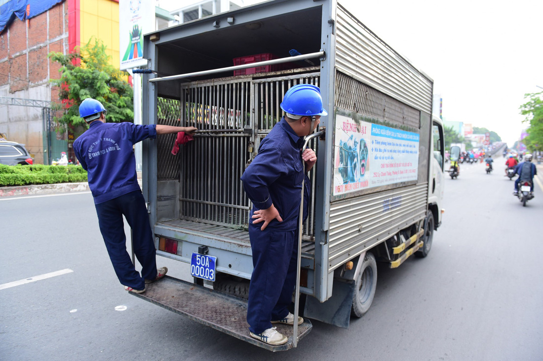 Xe bắt chó, “đặc sản đô thị” Sài Gòn - Ảnh 1.