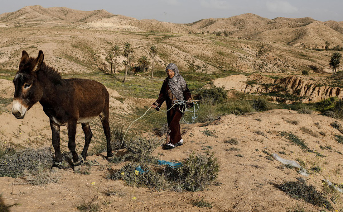 Cuộc sống của các gia đình dưới lòng đất ở Tunisia - Ảnh 4.