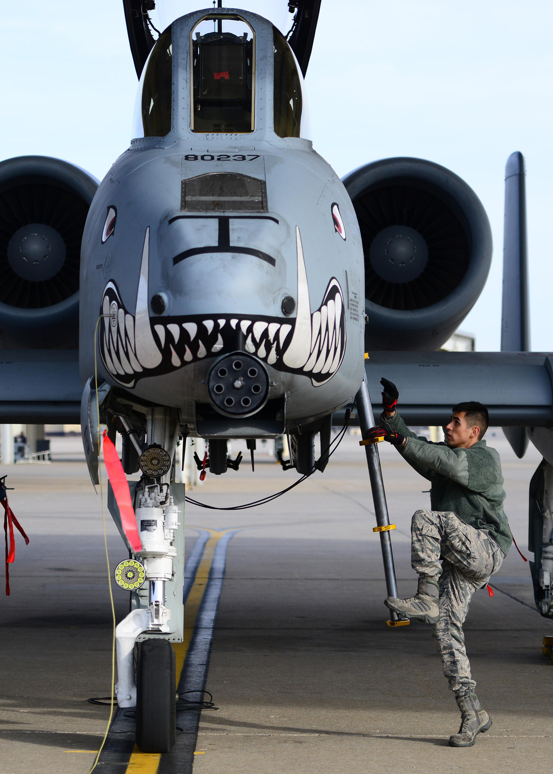 Xem ‘Airshow’ ở căn cứ không lực Hoa Kỳ - Ảnh 3.