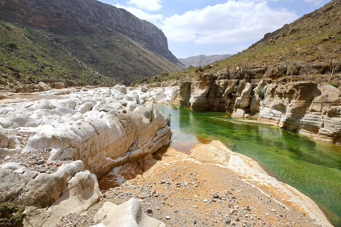 Đến Yemen khám phá vùng đất cây máu rồng Socotra - Ảnh 18.