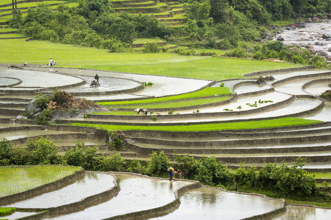 Việt Nam đã giúp tôi khép vòng tròn hoàn hảo đời mình - Ảnh 22.