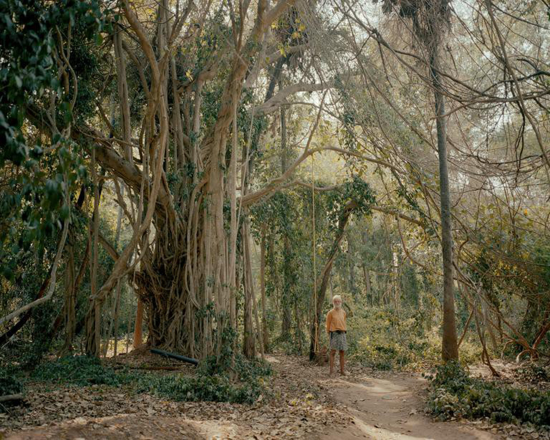 Xách máy ảnh đến Ấn Độ ghi lại cuộc sống giữa rừng cây - Ảnh 10.