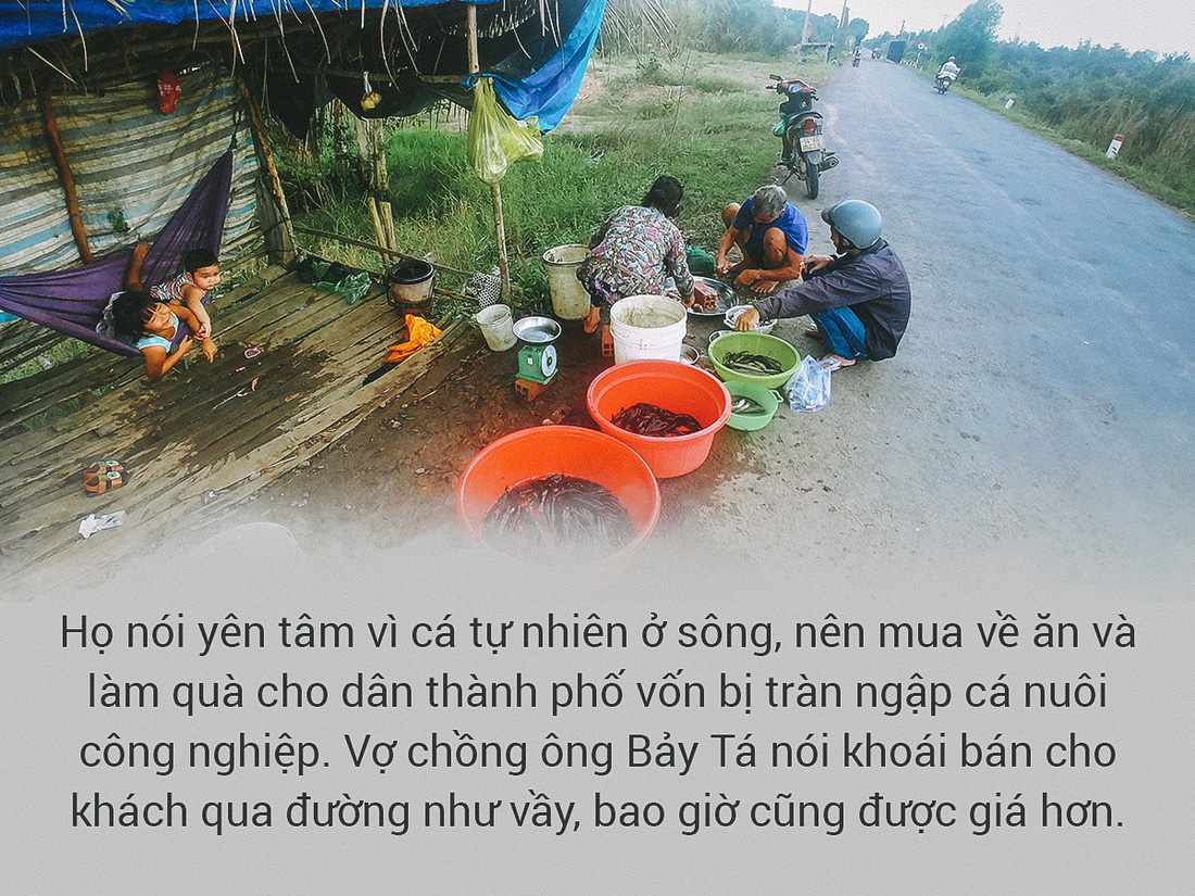 Đi theo những đàn cá sông - Ảnh 6.