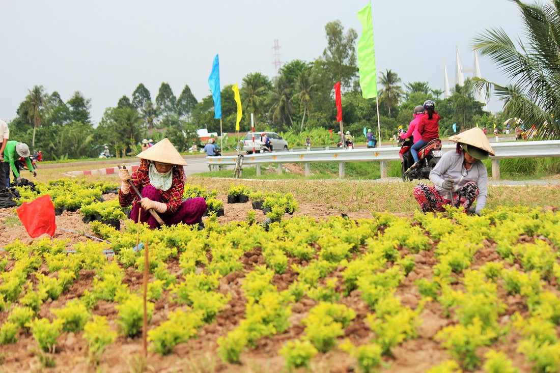 Dân Miền Tây rủ nhau lên cầu Cao Lãnh… chụp ảnh lưu niệm - Ảnh 9. Dân Miền Tây rủ nhau lên cầu Cao Lãnh… chụp ảnh lưu niệm - Ảnh 9.