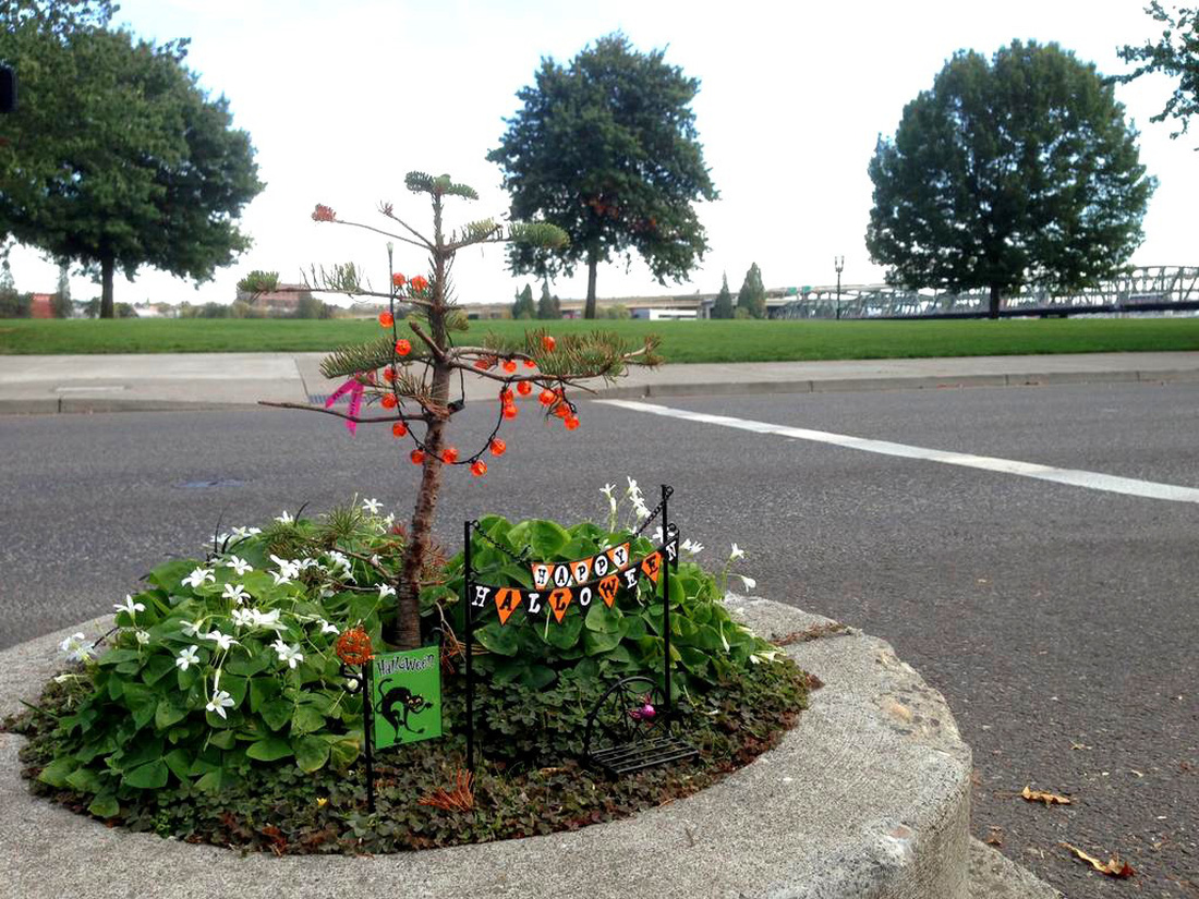 Công viên nhỏ nhất thế giới bé bằng một chậu hoa - Ảnh 3.