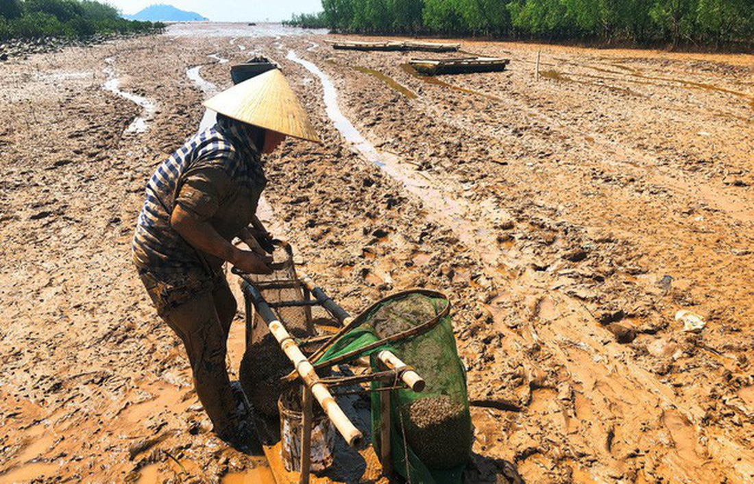 Kinh hoàng biển… rác ở Hậu Lộc, Thanh Hóa - Ảnh 16.