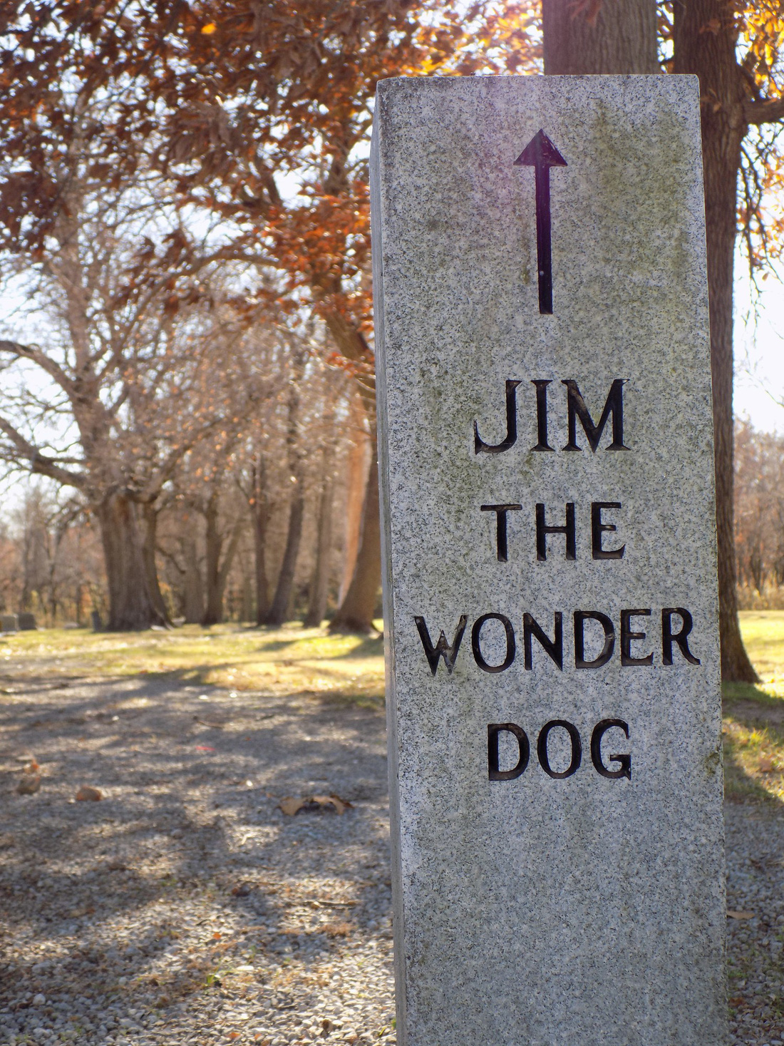 Năm Tuất thăm bảo tàng chú chó Jim - Ảnh 4.