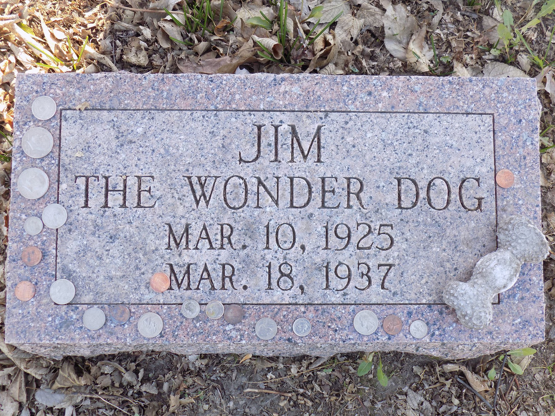 Năm Tuất thăm bảo tàng chú chó Jim - Ảnh 8.