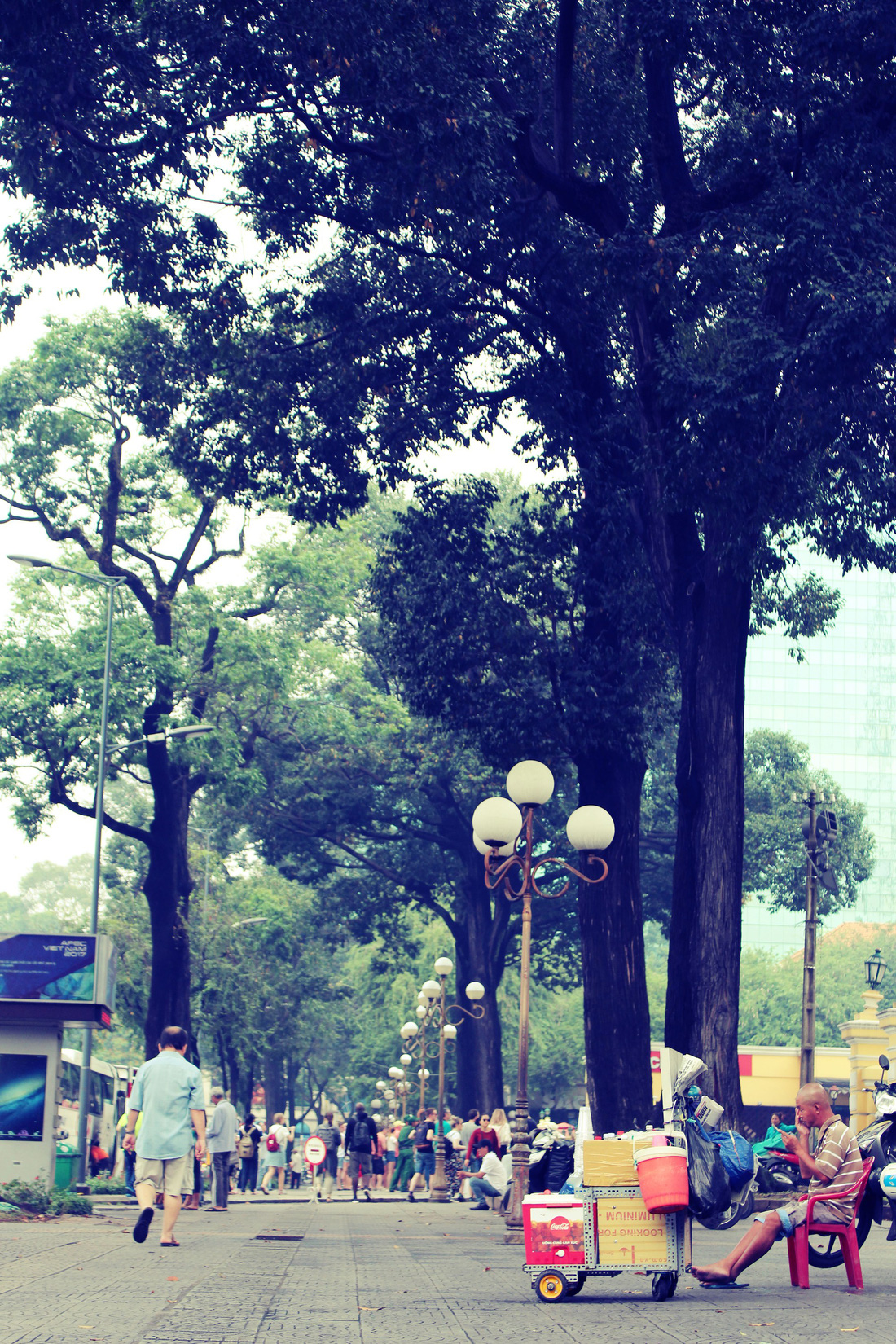 Những con đường rợp bóng cây cổ thụ ở Sài Gòn - Ảnh 3.