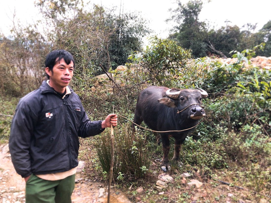 Sống trên đỉnh Mẫu Sơn - Ảnh 5.