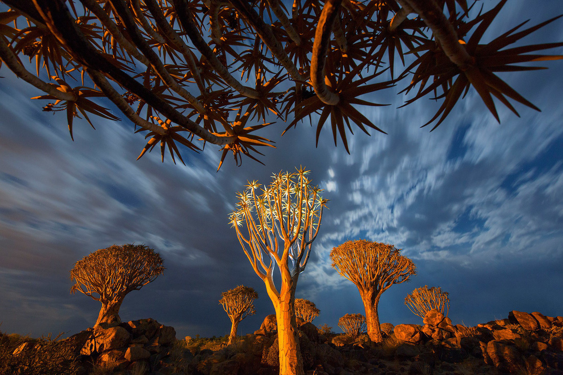 Sắc màu hoang dã Namibia - Ảnh 3.