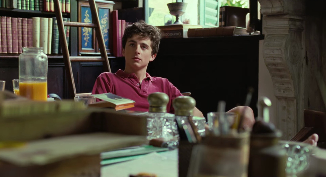 Giới phê bình LGBT chọn Call Me by Your Name hay nhất năm - Ảnh 3.