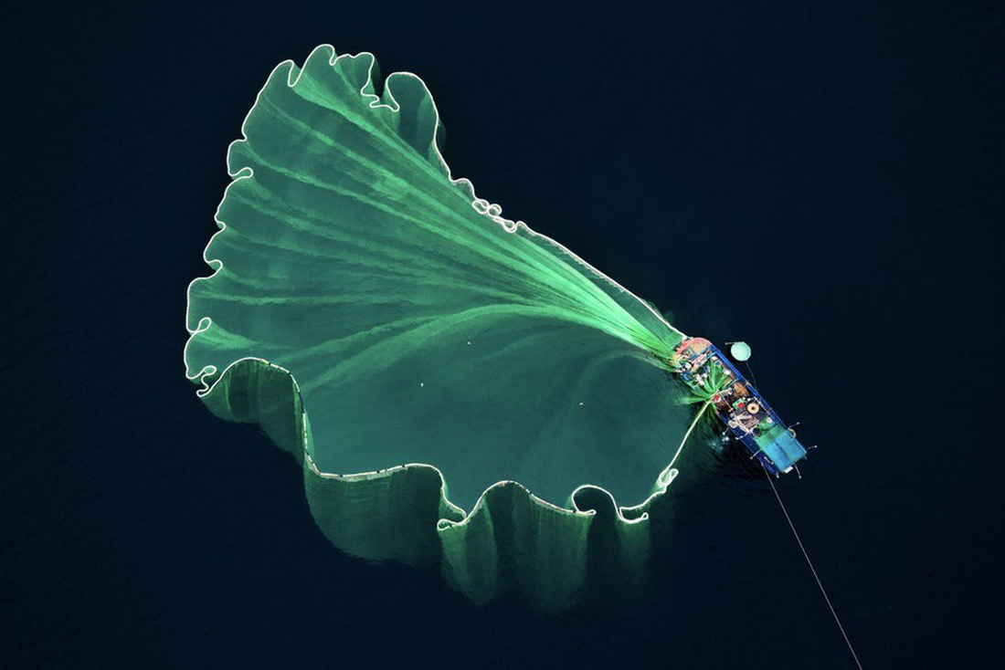 Hoa lưới tại Phú Yên đoạt giải nhì cuộc thi ảnh flycam quốc tế - Ảnh 1.