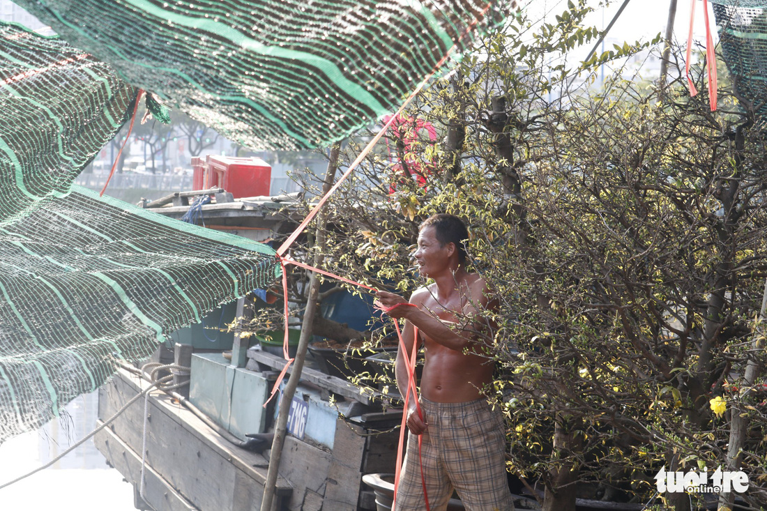 TP.HCM những ngày trên bến - dưới thuyền - công viên ngập hoa, kiểng - Ảnh 9.