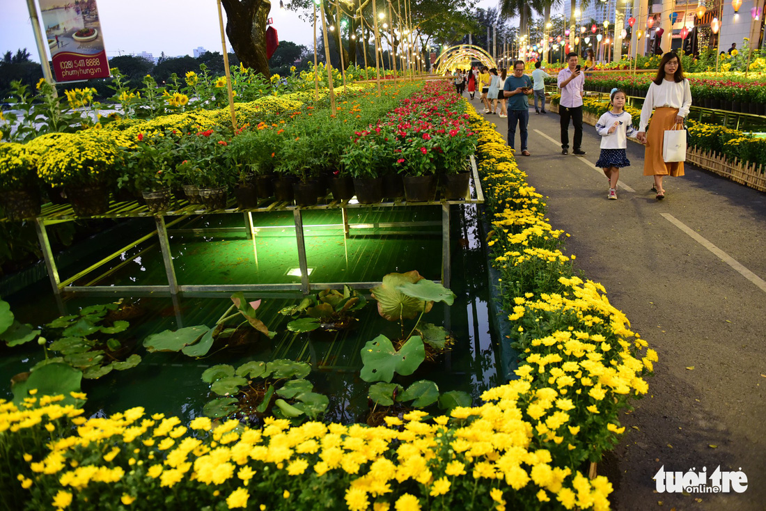 Đàn heo vàng xuất hiện tại hội chợ hoa xuân Phú Mỹ Hưng - Ảnh 3.