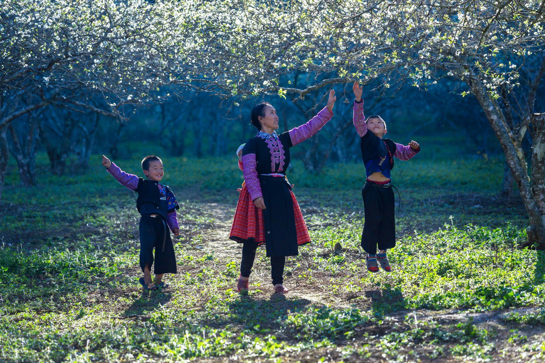 Mùa hoa mận trắng của người Mông bản Phiêng Cành - Ảnh 4.