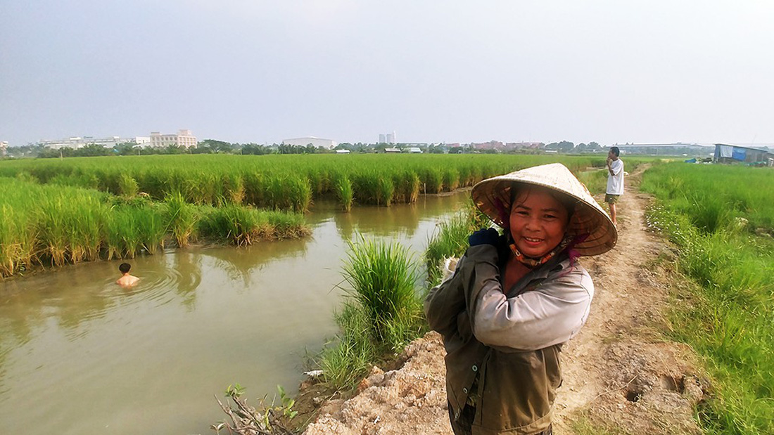 Làm ruộng ở quận 2, giữa lòng khu đất vàng  - Ảnh 1.