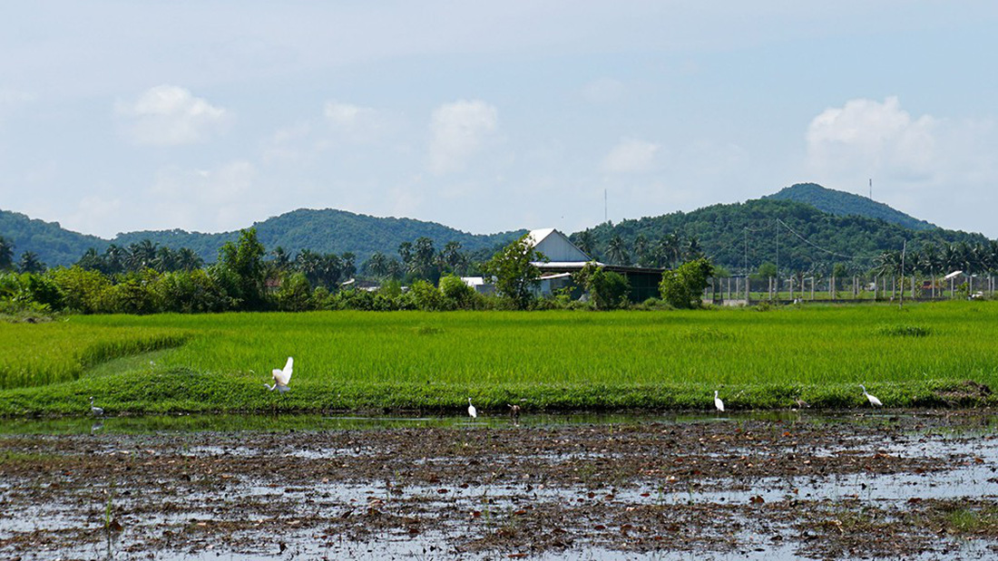 Hà Tiên, thành phố của những cánh đồng xanh - Ảnh 4.