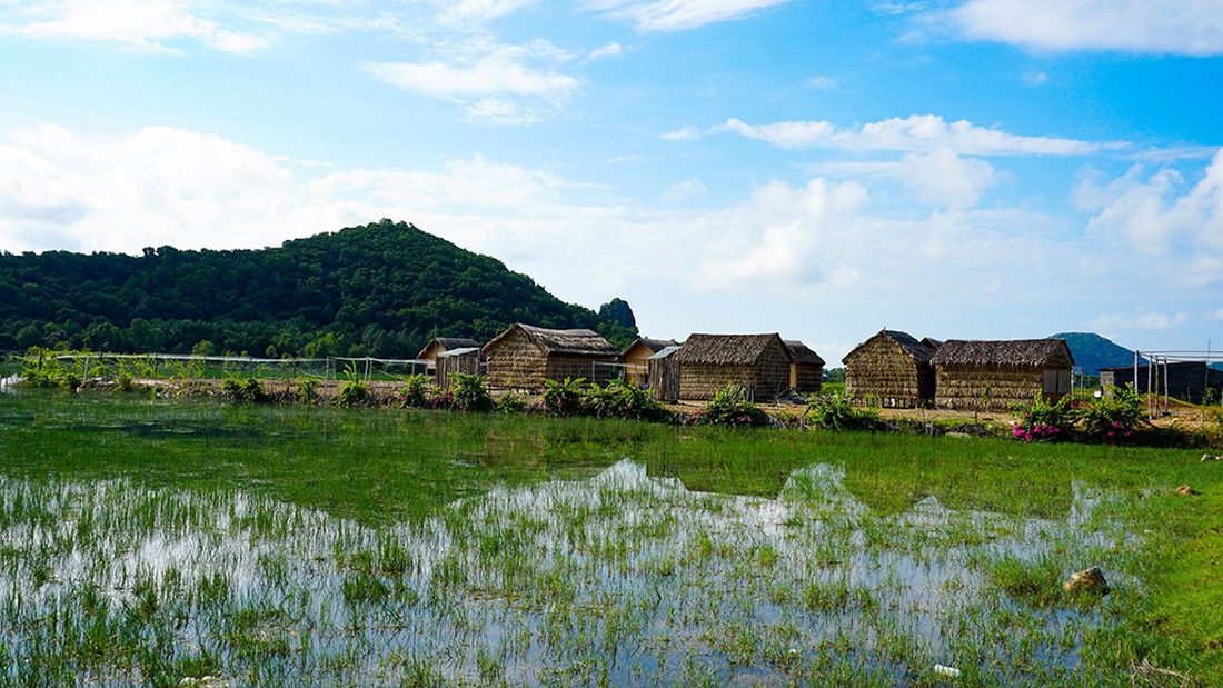 Hà Tiên, thành phố của những cánh đồng xanh - Ảnh 7.