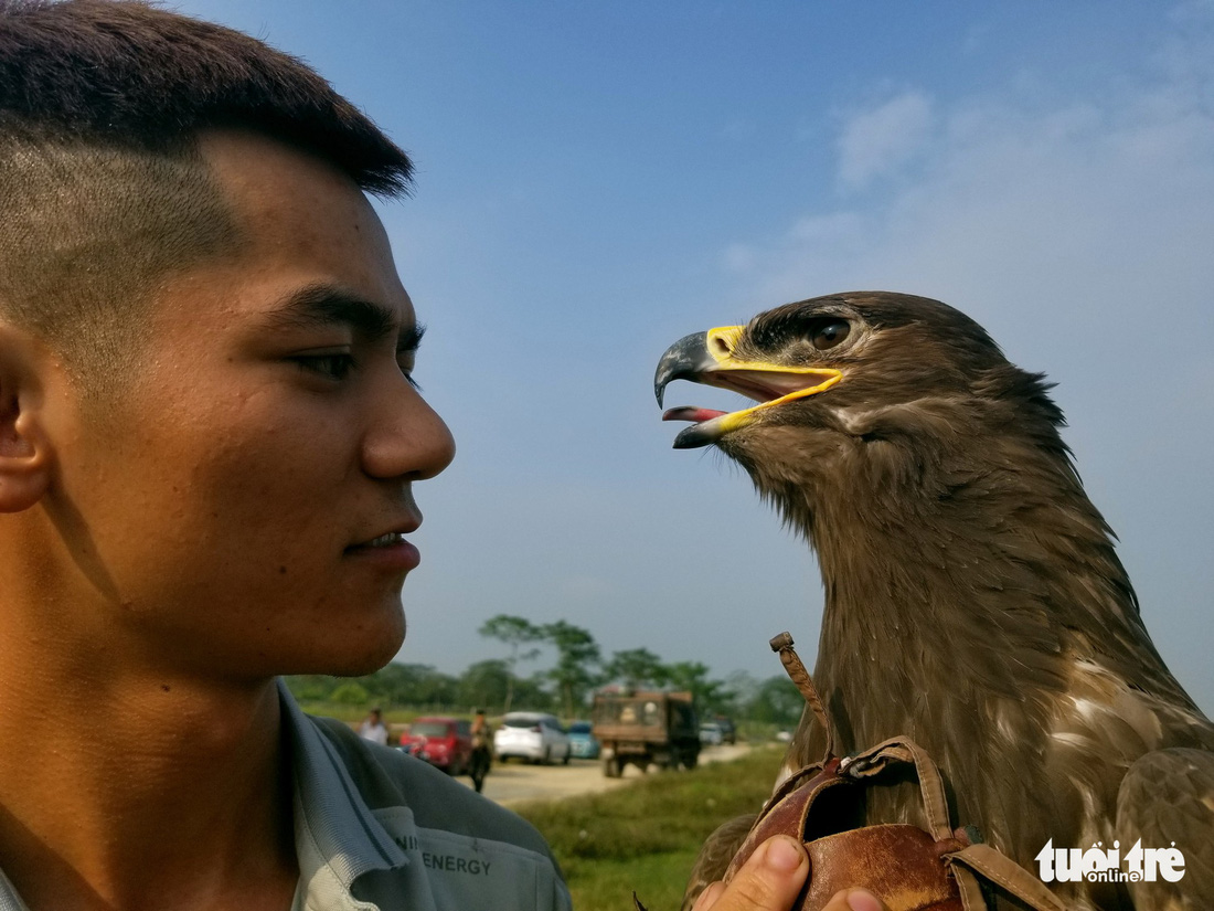 Mãn nhãn với những chú chim săn mồi sải cánh dũng mãnh - Ảnh 6.