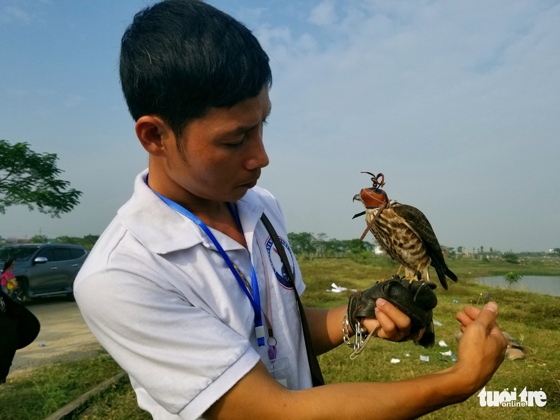 Mãn nhãn với những chú chim săn mồi sải cánh dũng mãnh - Ảnh 3.