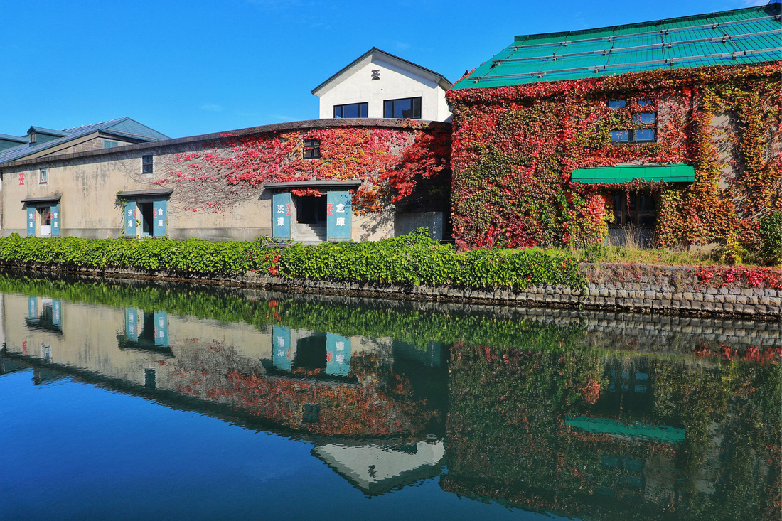 Thu vàng lộng lẫy của Hokkaido - gặp một lần đã là diễm phúc - Ảnh 9.