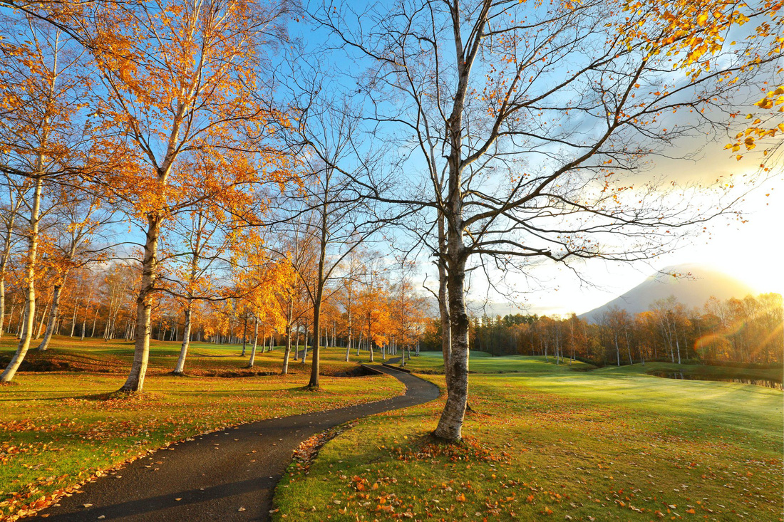 Thu vàng lộng lẫy của Hokkaido - gặp một lần đã là diễm phúc - Ảnh 11.