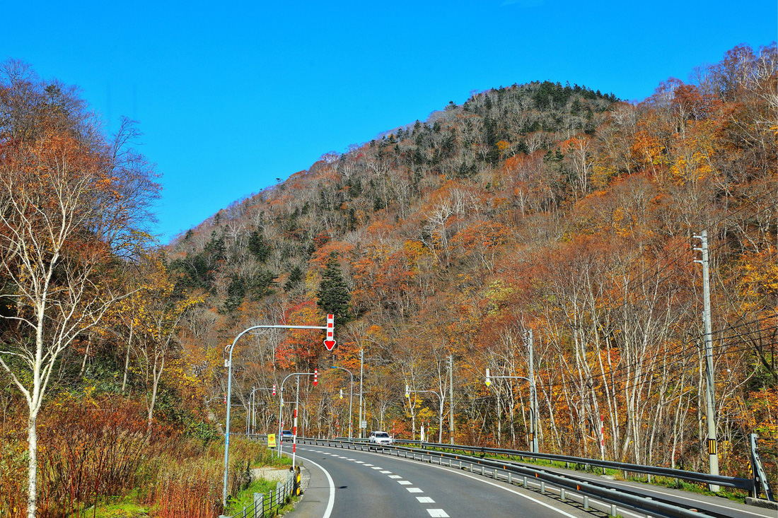 Thu vàng lộng lẫy của Hokkaido - gặp một lần đã là diễm phúc - Ảnh 4.