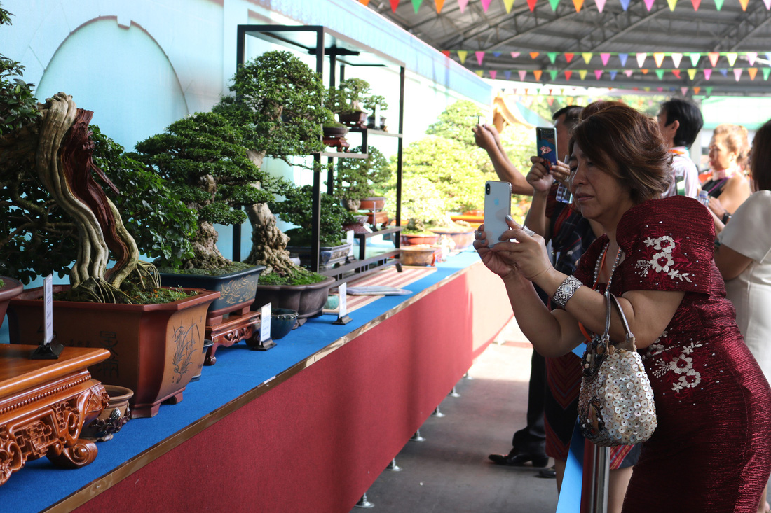 Chiêm ngưỡng những tác phẩm bonsai, suiseki tiền tỉ - Ảnh 4.