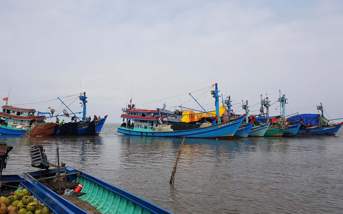 Vụ thiết bị giám sát hành trình tàu cá nằm bờ: Phạt tiền tỉ để cứu cả ngành - Ảnh 1.