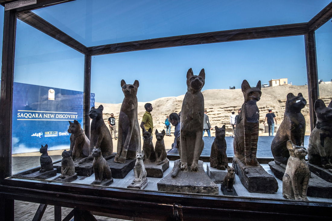 Ai Cập công bố 5 xác ướp sư tử con tìm thấy gần kim tự tháp Giza - Ảnh 5.