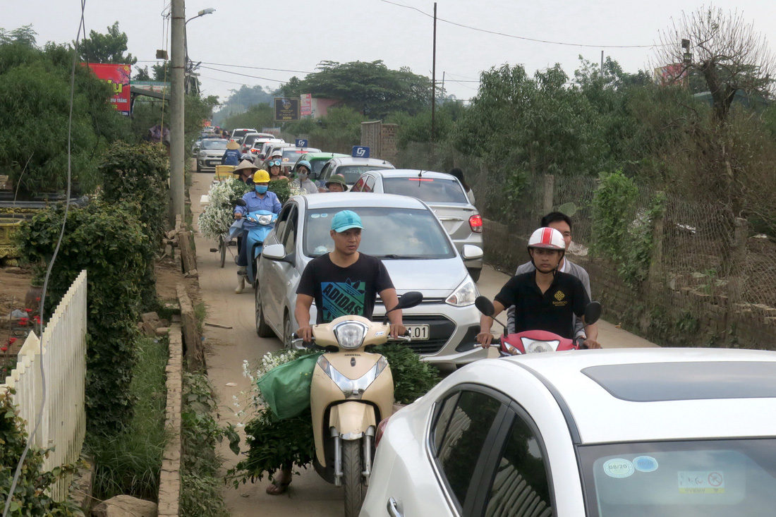 Mùa cúc họa mi nhộn nhịp từ vườn ra phố Hà Nội - Ảnh 3.