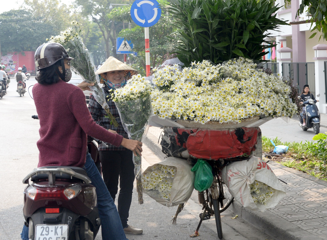 Mùa cúc họa mi nhộn nhịp từ vườn ra phố Hà Nội - Ảnh 18.