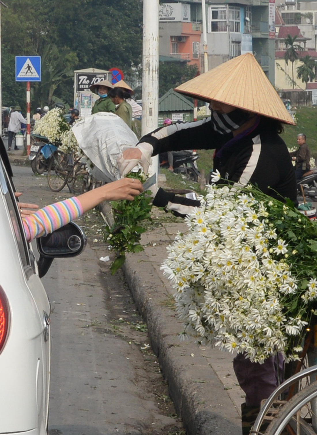 Mùa cúc họa mi nhộn nhịp từ vườn ra phố Hà Nội - Ảnh 19.