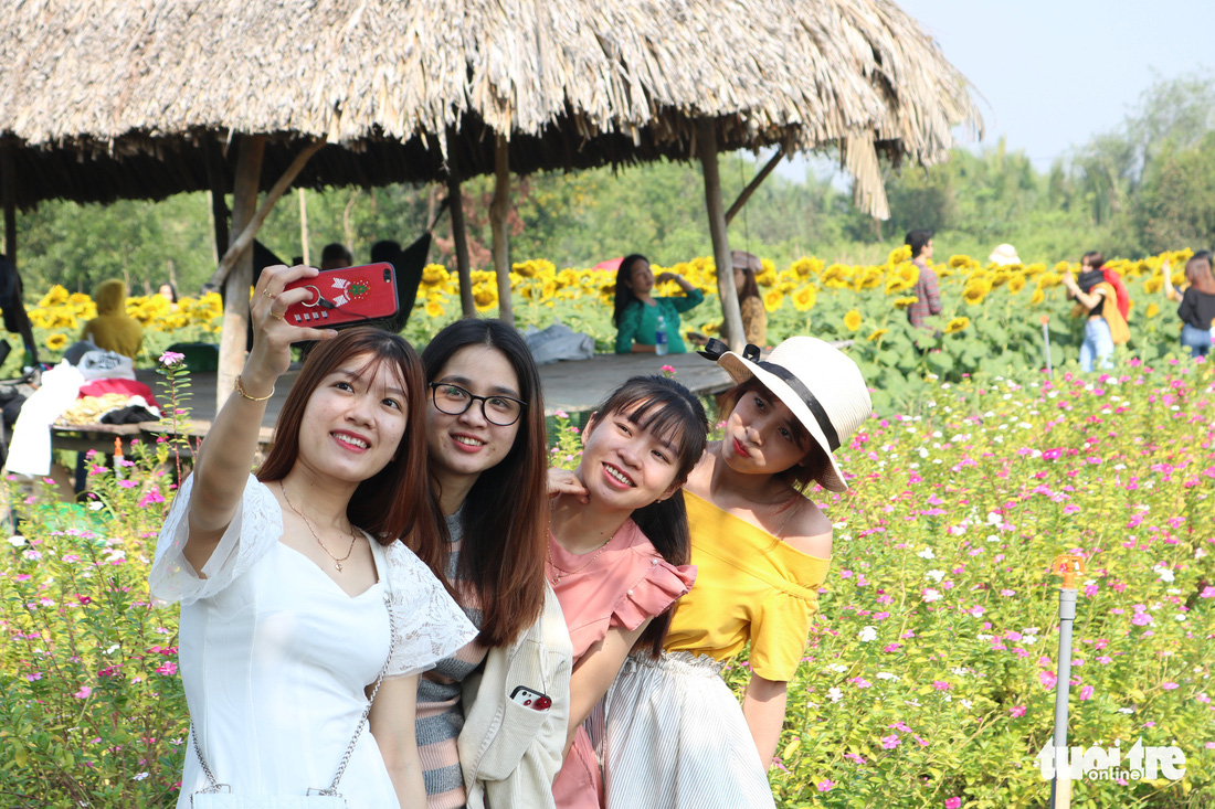 Selfie rực sắc vàng với vườn hướng dương ở TP.HCM   - Ảnh 3.