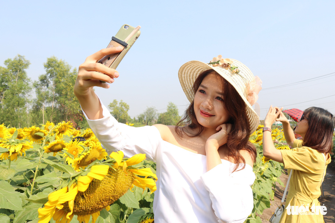 Selfie rực sắc vàng với vườn hướng dương ở TP.HCM   - Ảnh 6.