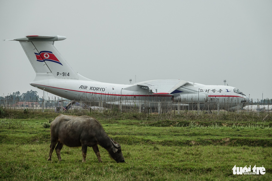 Cận cảnh ngựa thồ Il-76 của phái đoàn Triều Tiên - Ảnh 2.